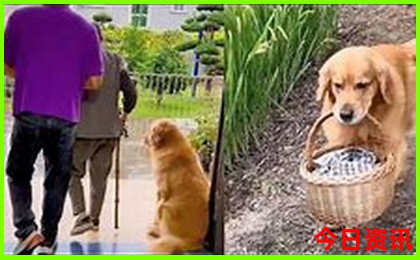7月份去哪旅游合适